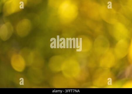 Natura astratta vibrante gialla e verde con uno sfondo bokeh scintillante Foto Stock