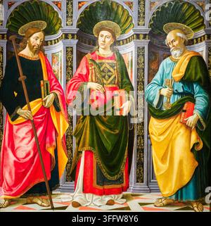 San Giacomo il Maggiore, San Stefano e San Pietro Tempera 1493 di Domenico Bigordi, noto come Ghirlandaio (1449 – 1494) Tempera su pannello di legno Foto Stock