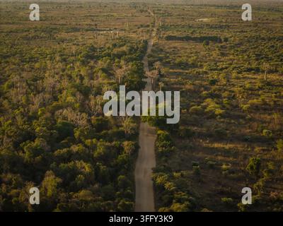 Vista aerea dell'Avenue dei Baobab con una strada sterrata che si snoda tra gli iconici alberi antichi nella paesaggio savana di Morondava, Menabe, Mada Foto Stock