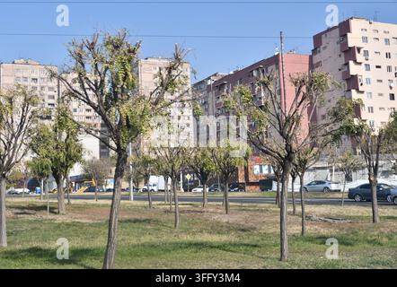 Blocchi residenziali dell'era sovietica si ergono dietro alberi di parco potati in un quartiere periferico di Jerevan, Armenia. Foto Stock