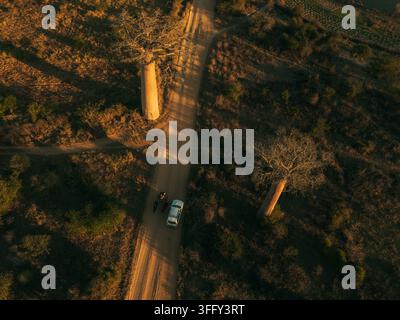 Veduta aerea dell'iconica Avenue dei Baobab con un veicolo che procede lungo la strada sterrata al tramonto a Morondava, Menabe, Madagascar Foto Stock