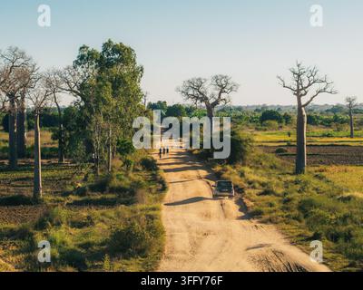 Vista aerea dell'iconica Avenue dei Baobab con una strada sterrata, imponenti alberi di baobab, un veicolo in movimento e persone che camminano attraverso il paesaggio i Foto Stock