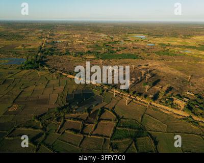Vista aerea degli iconici alberi baobab sparsi tra i campi agricoli e il paesaggio rurale di Morondava, Menabe, Madagascar. Foto Stock