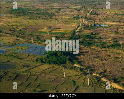 Vista aerea dell'iconica Avenue dei Baobab con alberi antichi sparsi su campi agricoli, stagni di irrigazione e una strada sterrata a Morondav Foto Stock
