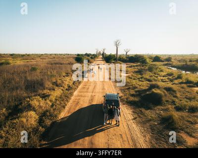 Vista aerea dell'Avenue dei Baobab con una strada sterrata, un veicolo parcheggiato e persone in piedi nelle vicinanze nel paesaggio arido di Morondava, Menabe, Mad Foto Stock