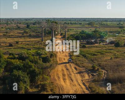 Vista aerea dell'iconica Avenue dei Baobab con una strada sterrata che si snoda attraverso il paesaggio, circondata da antichi baobab e vegetazione rurale Foto Stock