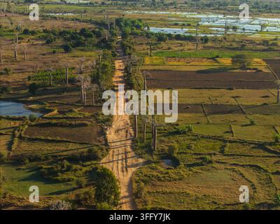 Vista aerea dell'iconica Avenue dei Baobabs con alberi imponenti che costeggiano una strada sterrata attraverso campi agricoli e zone umide a Morondava, Menabe Foto Stock