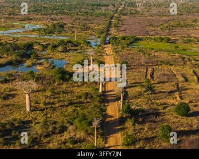 Vista aerea dell'iconica Avenue dei Baobab con i suoi alberi imponenti che costeggiano una strada sterrata attraverso il paesaggio della savana a Morondava, Menabe, Madagascar Foto Stock