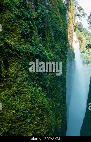 Parete rocciosa ricoperta di muschio accanto a una cascata nebbiosa in una gola stretta, Muong Hum, Lao Cai, Vietnam Foto Stock