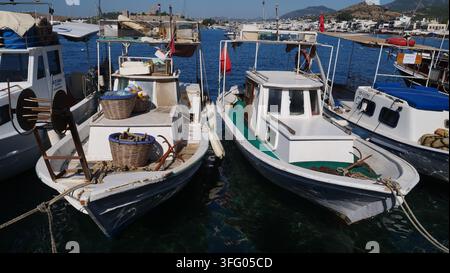 Barche da pesca costiera nel porto turistico di Bodrum, Turchia. Foto Stock