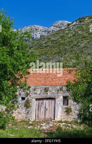 Un rustico fienile in pietra con una porta di legno consumata e un tetto di tegole rosse è incorniciato da alberi a foglia contro una montagna verde ripida e un cielo blu chiaro, evoki Foto Stock