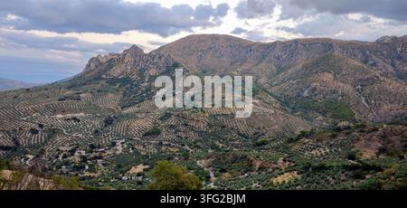 Vaste oliveti sotto una cresta montuosa frastagliata. Albanchez de Mágina, Jaén, Spagna. 20 ago 2026. Foto Stock