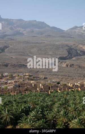 Vista elevata e nebbiosa del villaggio di mattoni di fango di Misfat al Abriyyin circondato da una fitta oasi di palme da dattero, regione di Ad Dakhiliyah, Misfat al Abriyyin, Oman Foto Stock