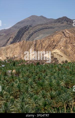 Oasi di palme in primo piano con il villaggio in rovina di mattoni di fango sulla collina, Governatorato di Ad Dakhiliyah, Birkat Al Mouz, Oman Foto Stock