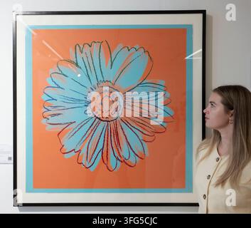 Phillips, Londra, Regno Unito. 11 set, 2026. Anteprima dei punti salienti del modernismo e delle edizioni: punti salienti della vendita serale presso Phillips, Londra. Immagine: (Editions: Vendita serale) Andy Warhol, Daisy. c.1982 Serigrafia a colori. Stima £25.000-35.000. Credit: Malcolm Park/Alamy Live News Foto Stock