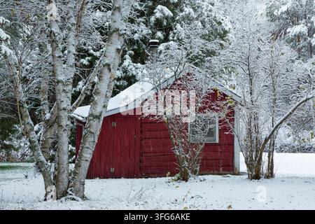 Vecchia sauna finlandese in tronchi rossi in una giornata innevata a Sudbury, Ontario, Canada Foto Stock