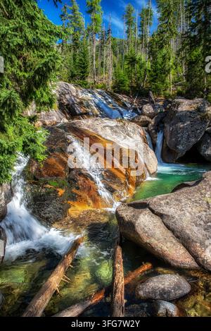 Cascata Dlhý vodopád sullo Studený potok nelle Alpi slovacche, Slovacchia, che si riversa su grandi massi di granito attraverso una foresta montana con un turchese chiaro Foto Stock