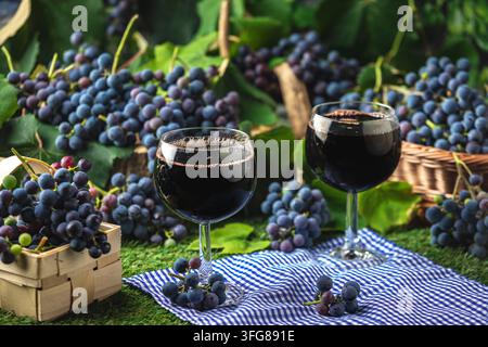 Due bicchieri di vino rosso circondati da acini e foglie di Borgogna blu Foto Stock