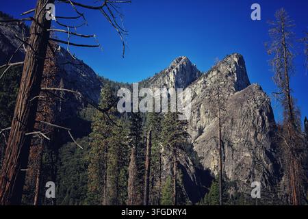 Picchi di granito frastagliati incorniciati da pini sotto un cielo blu terso nel Parco Nazionale di Yosemite Foto Stock