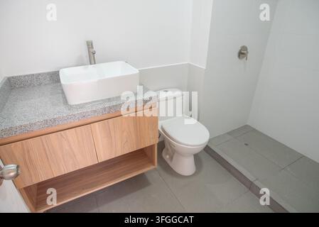 Mobiletto da bagno moderno: Un bagno elegante e contemporaneo con un mobiletto minimalista in legno, un lavandino bianco immacolato e un wc dalle linee pulite Foto Stock