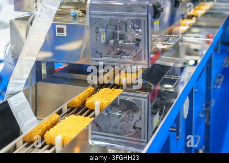 Blocchi di noodles istantanei essiccati che avanzano su un nastro trasportatore attraverso una macchina di confezionamento automatizzata in un moderno stabilimento di produzione alimentare. Foto Stock