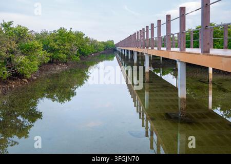 Alkhor, Qatar - Bellezza affascinante di Purple Island a Dakhira Al Khor, Qatar Foto Stock