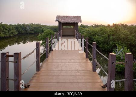 Alkhor, Qatar - Bellezza affascinante di Purple Island a Dakhira Al Khor, Qatar Foto Stock
