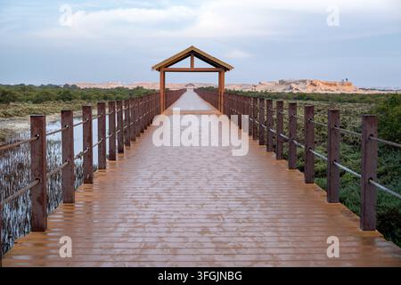 Alkhor, Qatar - Bellezza affascinante di Purple Island a Dakhira Al Khor, Qatar Foto Stock
