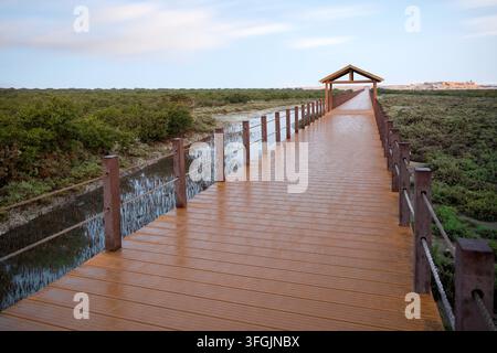 Alkhor, Qatar - Bellezza affascinante di Purple Island a Dakhira Al Khor, Qatar Foto Stock