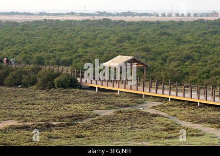 Alkhor, Qatar - Bellezza affascinante di Purple Island a Dakhira Al Khor, Qatar Foto Stock