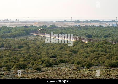 Alkhor, Qatar - Bellezza affascinante di Purple Island a Dakhira Al Khor, Qatar Foto Stock