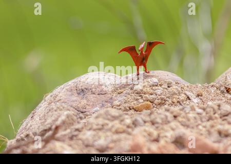 Una figurina di pterosauro in plastica in piedi su una roccia, in una fattoria nella Cordigliera orientale delle Ande, nel centro della Colombia Foto Stock