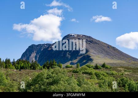 Sommità rocciosa del Ben Nevis vista dalla terra boschiva scozzese in Scozia, Regno Unito Foto Stock