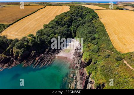 Spiaggia isolata protetta all'interno di una valle boscosa che si snoda attraverso campi di orzo dorati fino alle acque costiere turchesi, Pembrokeshire, Galles Foto Stock