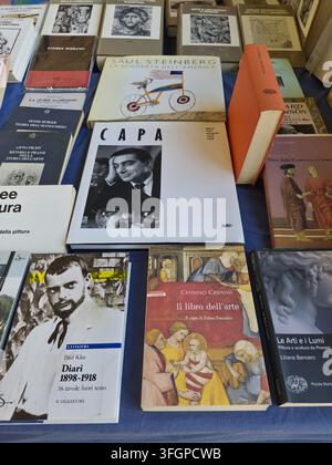 Una ripresa aerea di vari libri di storia dell'arte, letteratura e fotografia, inclusa una monografia su Robert Capa, disposti su un tavolo. Foto Stock