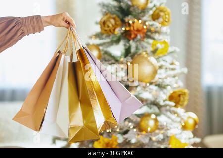Un braccio tiene diverse borse della spesa festive davanti a un albero di Natale sfocato e illuminato dolcemente, adornato con ornamenti e luci decorative, catturando il Natale Foto Stock