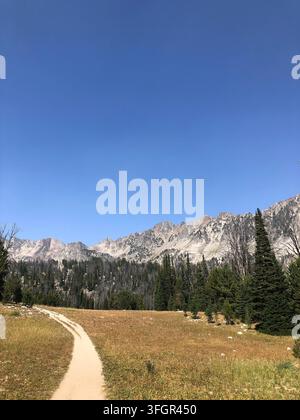 Strada sterrata tortuosa che conduce a montagne aspre, Big Sky, Montana Foto Stock