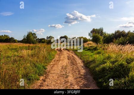 Strada sterrata sinuosa si snoda attraverso un campo estivo dorato sotto un cielo blu vibrante con nuvole soffici, invitando all'avventura nella campagna selvaggia Foto Stock