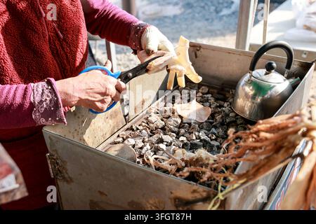 Venditore ambulante che prepara calamari su una griglia a carbone in uno stand di street food coreano. Foto Stock