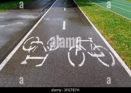 Segnale di pista ciclabile dipinto su strada asfaltata bagnata a Kaunas, Lituania Foto Stock