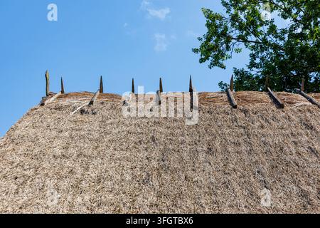 Cresta del tetto di paglia tradizionale con pali di legno a Podlasie, Polonia Foto Stock