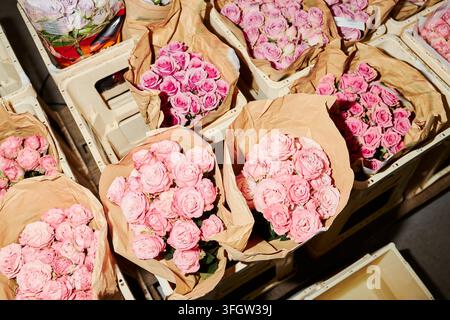 Rose rosa fresche in involucri di carta al mercato dei fiori Foto Stock