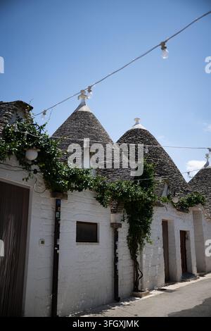 Trulli tradizionali imbiancati con tetti coniugali in pietra e viti rampicanti ad Alberobello, Puglia, nel sud dell'Italia. Foto Stock