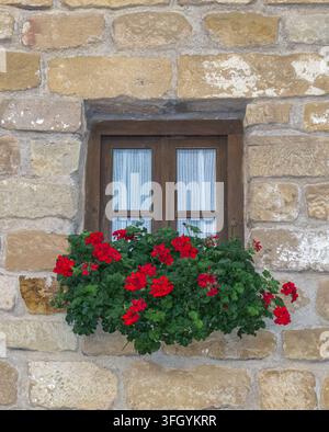 Muro di pietra, con una finestra incorniciata in legno e una fioriera piena di gerani rossi brillanti. Foto Stock