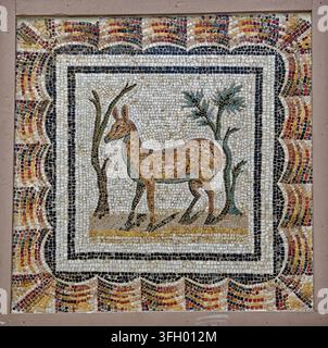 Pannello quadrato di mosaico romano antico in pietra raffigurante una gazzella in piedi tra alberi stilizzati del deserto all'interno di una cornice decorativa al Museo Nazionale di Foto Stock