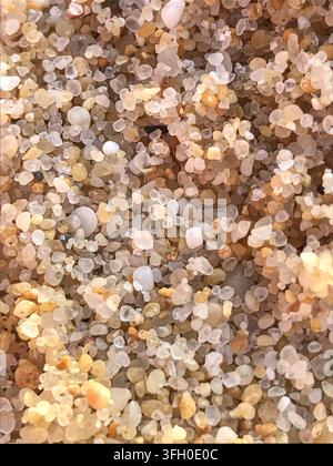 Vista macro dall'alto di grani di sabbia grossa della spiaggia Foto Stock