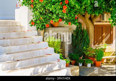 Scena pittoresca di corte con piante rigogliose, fiori e architettura tradizionale cretese in un ambiente tranquillo di villaggio Foto Stock