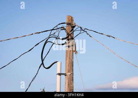 Scoiattolo con cibo in cima al palo di servizio. Foto Stock