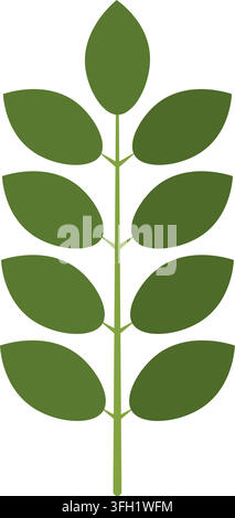 Stelo di pianta stilizzato verde fresco con foglie per temi di natura e crescita, illustrazione vettoriale isolata su bianco pulito Illustrazione Vettoriale