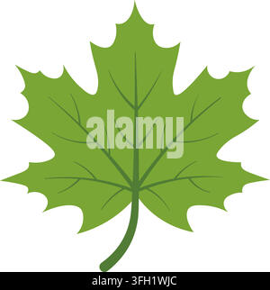 Foglia d'acero verde autunnale per la stagione autunnale e i design di raccolto illustrazione vettoriale isolata su sfondo bianco pulito Illustrazione Vettoriale